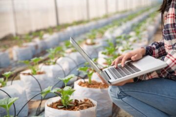 Tarım İşletmeciliğinde Blockchain Teknolojisi: Şeffaflığın ve İzlenebilirliğin Artırılması