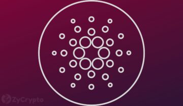 Cardano Smart Contracts Record Massive 67% Growth in 2024 Even as ADA Whale Transactions Dwindle