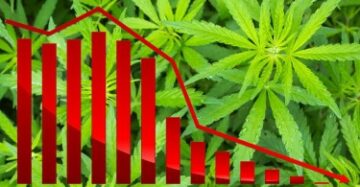コロラド州の大麻売上高、2017年XNUMX月以来の最低水準に - 大麻消費者の共食い