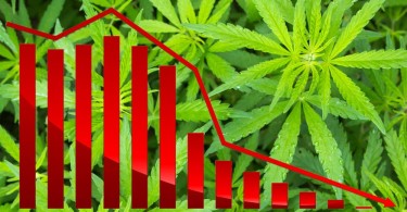 Colorado Cannabis Sales Hit a New Low Not Seen Since February of 2017 - The Cannibalization of the Cannabis Consumer