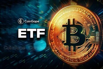 Analista del mercato delle criptovalute evidenzia le tendenze degli ETF Bitcoin mentre gli afflussi superano i 780 milioni di dollari - CryptoInfoNet