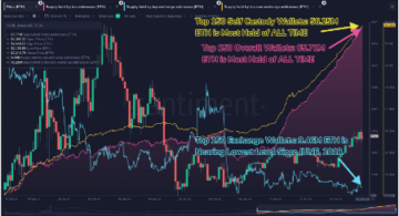 Ethereum Giga Whales On A Historic Buying Spree