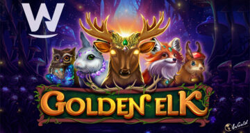 Avastage salapärast metsa uusimate võlurimängude videomänguautomaadis Golden Elk