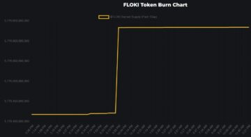Швидкість спалювання Флокі Іну зросла на 600%, спалено понад 218 мільйонів токенів