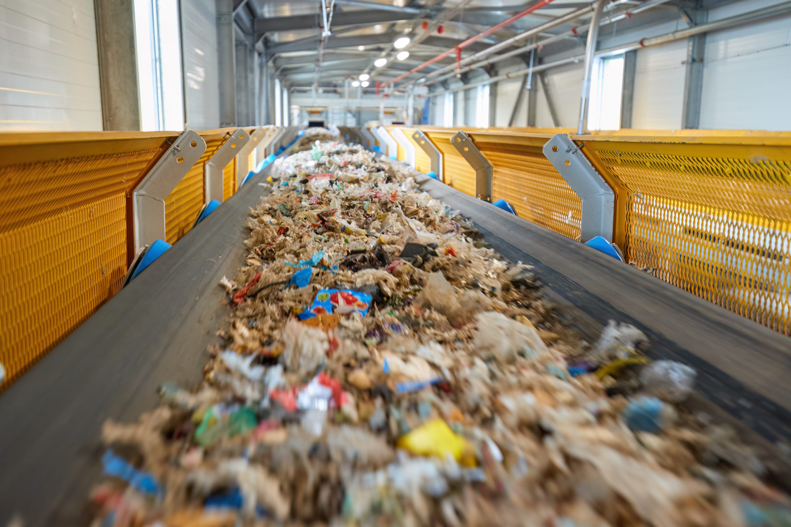 Future Of Waste: Transforming Biomass Into Energy