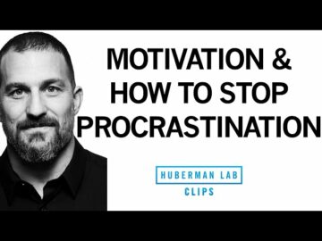 How to Stop Procrastination and Why We Do It. -