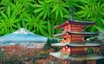Japan reißt langsam das Cannabis-Pflaster ab – Cannabis-Medikamente jetzt Okay, Gras zum Spaß rauchen und für 7 Jahre ins Gefängnis gehen