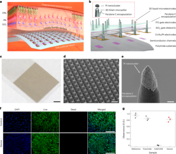 Trójwymiarowe układy mikroelektrod na bazie ciekłego metalu zintegrowane z wszczepialną ultracienką protezą siatkówki do przywracania wzroku - Nature Nanotechnology