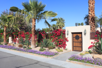 Bor i Palm Springs, Californien – 11 ting at elske og 4 til ikke