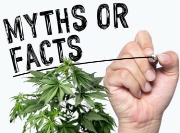 Marihuana Myth Busters - Top 5 Reefer Madness Myter om Cannabis, som vi nu ved er 100 % falske