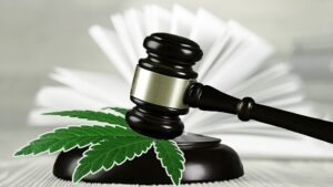 Milioni di reati legati alla marijuana cancellati - Collegamento al programma sulla marijuana medica
