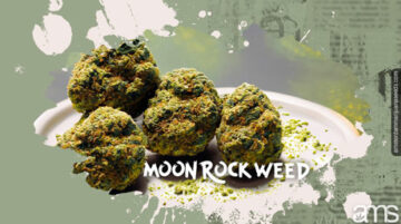 Moon Rock Weed: The Ultimate Cannabis Treat