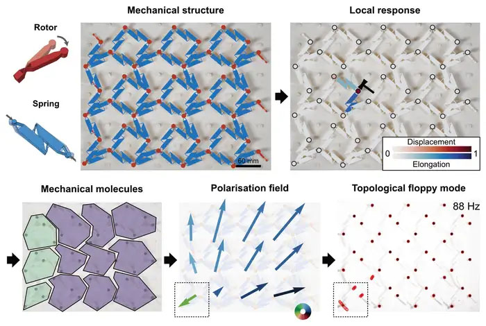 A fully experimental method for determining the topological character of a mechanical metamaterial