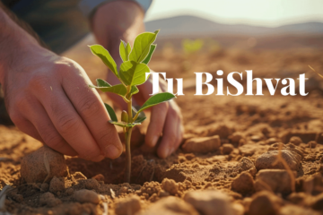 Novo leto za drevesa s festivalom Tu Bišvat