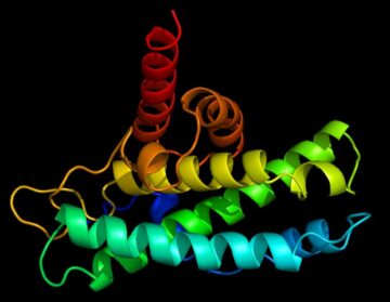 Proteinhemligheter avslöjade: Enkelmolekylspektroskopi inleder en era av personlig medicin