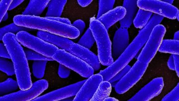 과학자들은 박테리아를 이용하여 자연에서는 발견되지 않는 이국적인 단백질을 만들었습니다.