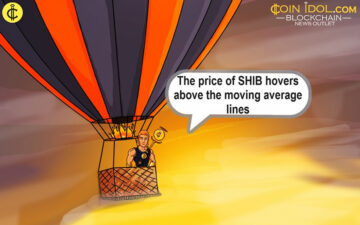 Shiba Inu läuft Gefahr, sein Unterstützungsniveau von 0.00001000 $ zu verlieren