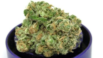 Estudo: Pacientes com TDAH se beneficiaram da cannabis medicinal
