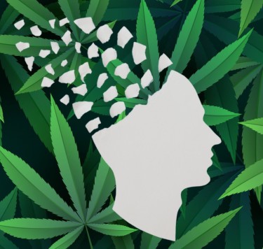 Studie säger att medicinsk cannabis inte försämrar mental kognition, men låt mig berätta om några av de andra drogerna som nämns...