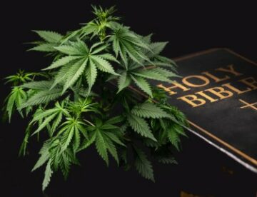 L'Église contre la légalisation du cannabis - La moralité de la marijuana est à nouveau remise en question.