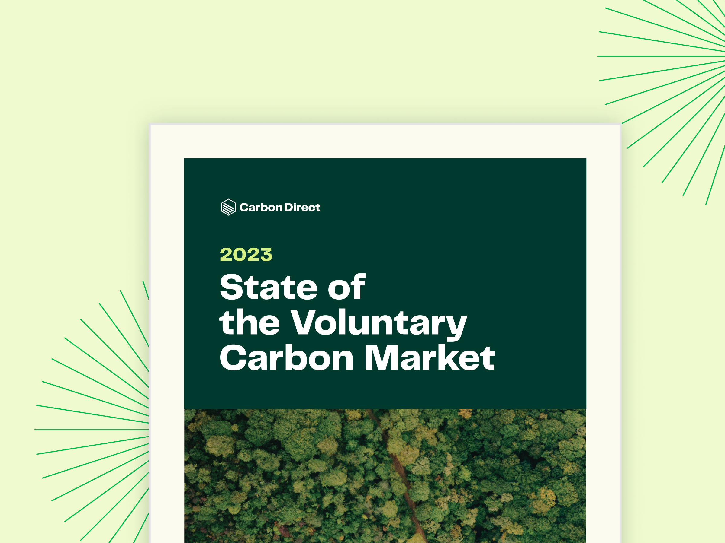 A situação do mercado voluntário de carbono | GreenBiz
