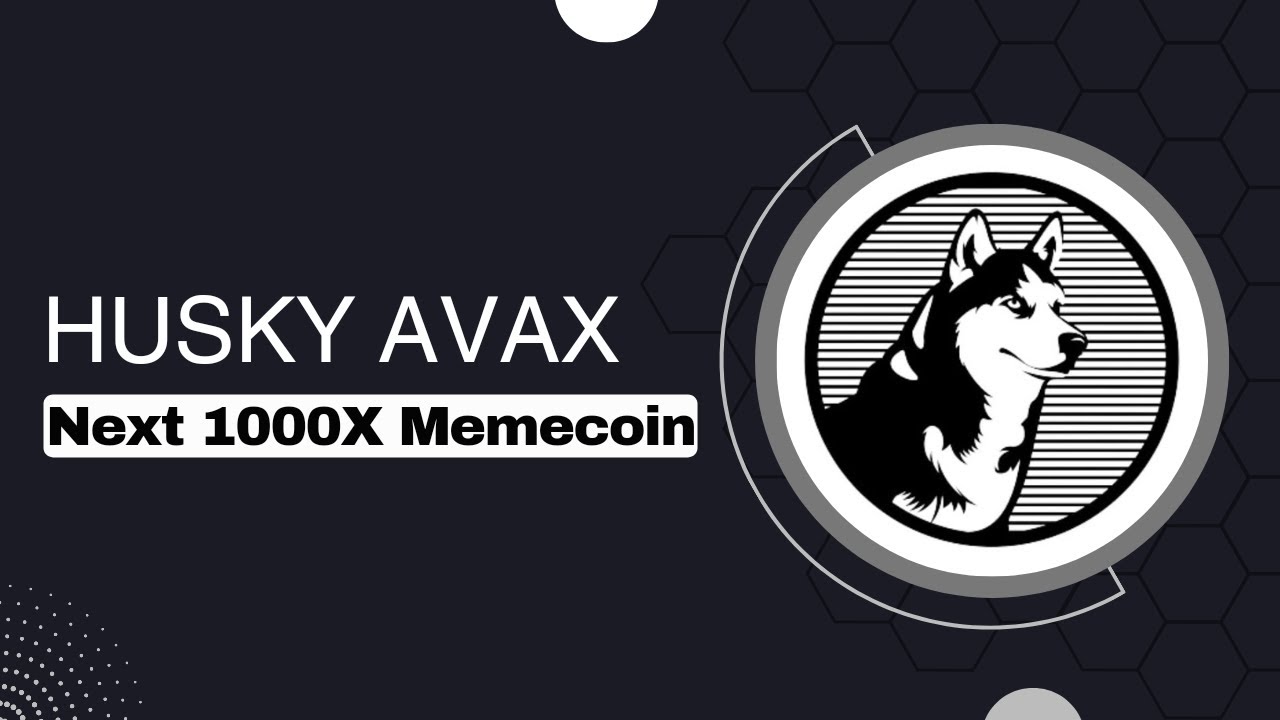 Husky Avax nedir? Avalanche'ın En İyi Köpeği - Bugün Asya Kripto