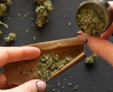 Was ist der Unterschied zwischen einem Spliff, einem Joint und einem Blunt? (Cannabis 101)