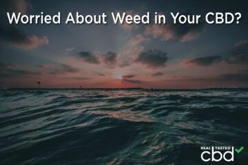 Orolig för Weed i din CBD? - Anslutning till medicinsk marijuanaprogram