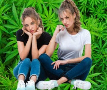 4,000 tvillingepar blev undersøgt, 1 røget ukrudt og 1 gjorde det ikke - Cannabisbrug forårsagede ingen negative mentale sundhedsresultater