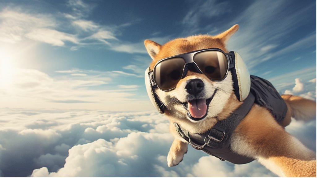 Fallschirmspringen mit Hund