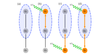 Αναλογική κβαντική προσομοίωση με Qubits Transmon Σταθερής Συχνότητας