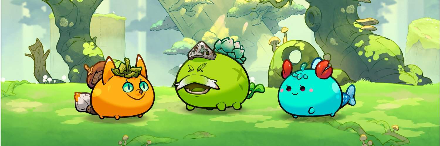 Axie Infinity co-founder suffers US$9.7 mln theft