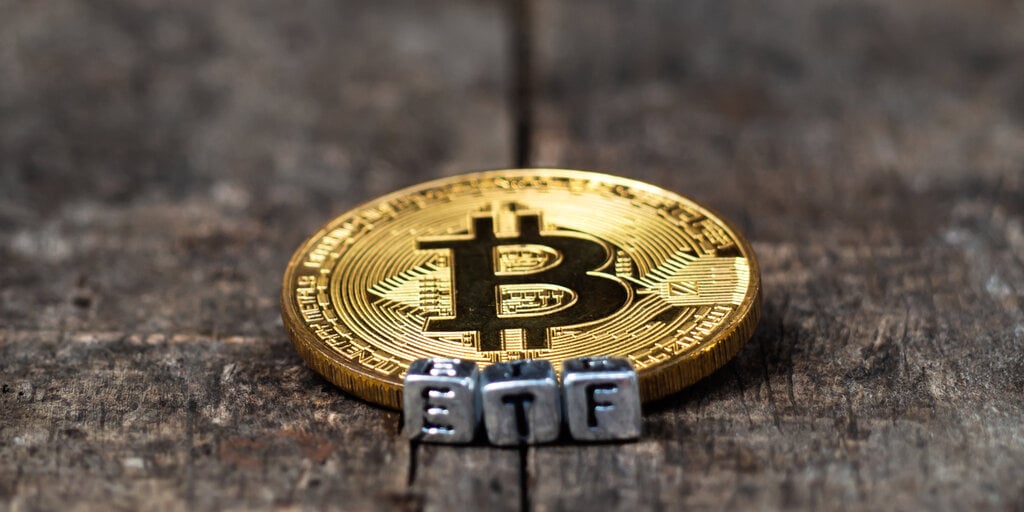 Bitcoin ETF Issuers May Dwindle by End of Year, Says Valkyrie CIO - Decrypt