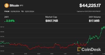 Bitcoin chega a US$ 44 mil, com acúmulo de baleias sugerindo condenação em mais ganhos de preços