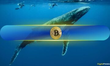 Bitcoin Whales Scoop Up Over 100,000 BTC in 10 Days in Rapid Accumulation