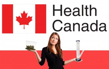 Health Canada na nezakonitem trgu marihuane