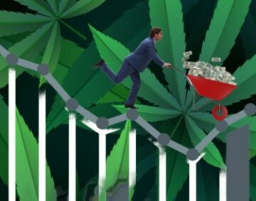 ¿Las ventas de cannabis se estancan en la mayoría de los estados 36 meses después de la legalización? - Ohio, el último estado legal en informar un crecimiento interanual del 1%
