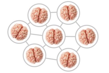 "Kollektivt sinne": Forskare undersöker sociala effekter av att titta på samma sak tillsammans