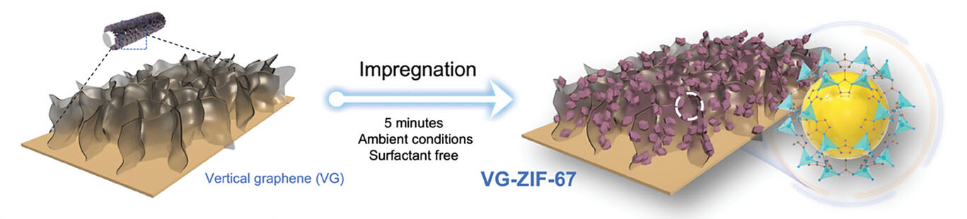 Schematic illustration of the preparation of VG-ZIF-67 from the vertical graphene via a single-step impregnation method