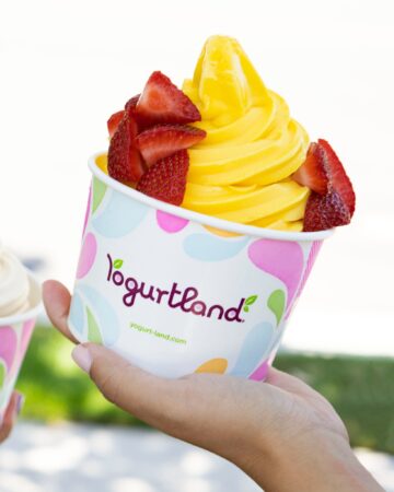 Utforska Sweet Symphony of Yogurtlands meny - GroupRaise