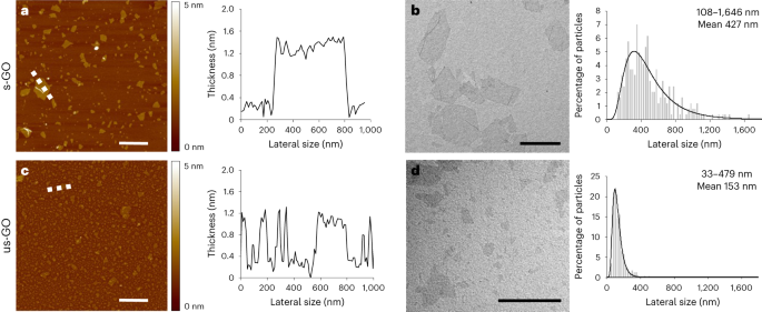 First-in-human controlled inhalation of thin graphene oxide nanosheets to study acute cardiorespiratory responses - Nature Nanotechnology