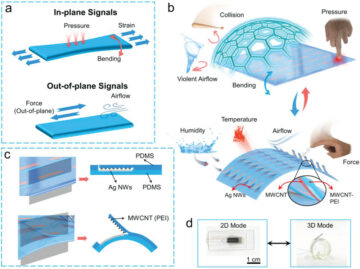 Flexible sensor uniquely mimics complex touch and perception of human skin