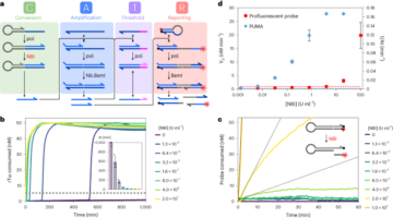 Functional analysis of single enzymes combining programmable molecular circuits with droplet-based microfluidics - Nature Nanotechnology