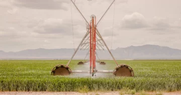 Πώς η Kubota αλλάζει το status quo στη γεωργία και τη βιωσιμότητα με την τεχνολογία - IBM Blog
