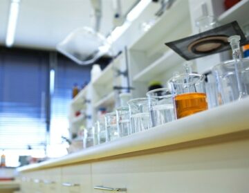 ‘Laboratoriumtestikels’ zouden mysteries over mannelijke onvruchtbaarheid kunnen oplossen