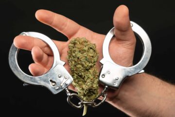 Mother Sues Tennessee Agencies for Using Cannabis Arrest To Separate Family