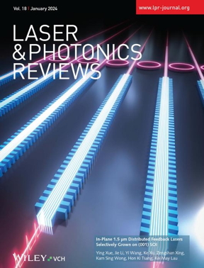 The study was selected as cover of the journal Laser & Photonics Reviews. CREDIT
HKUST 