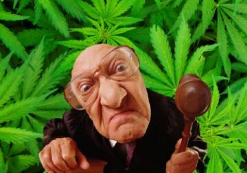 没有州际贸易适合您！ - 华盛顿法官称大麻不适用于宪法中的休眠商业条款