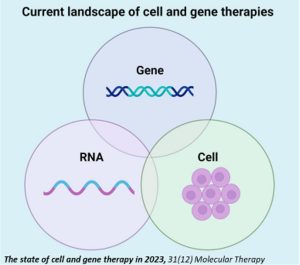 Alimenter la fabrication future de thérapies cellulaires et géniques