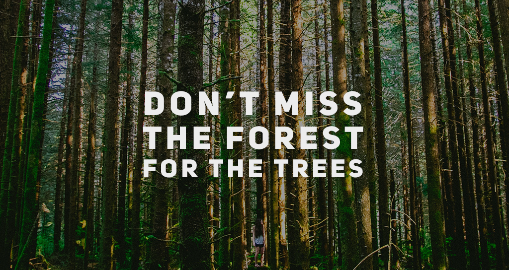 An image of forest in the background with the text "Don't miss the Forest for the Trees".